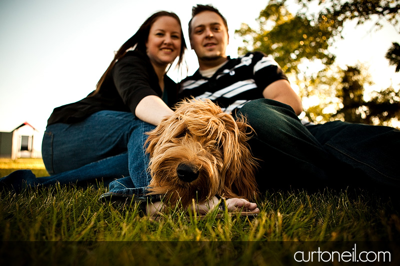 Barkley The Dog. Engagement