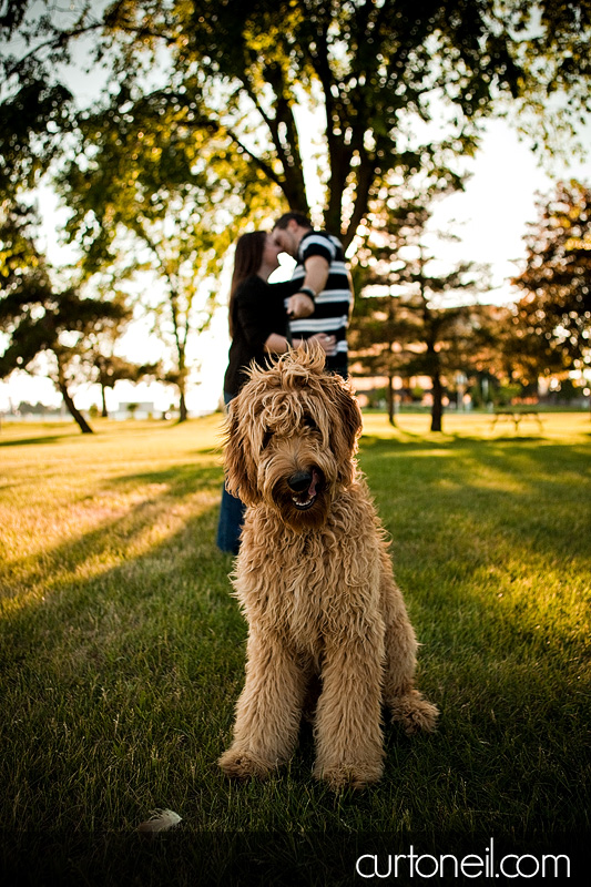 Barkley The Dog. and Tim - Barkley the dog